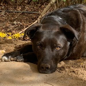 Meet your Posher, Logan